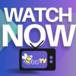 BeeTV A Powerful Streaming App for Firestick and More