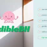 Understanding CredibleBH A Portal for Behavioral Health Professionals