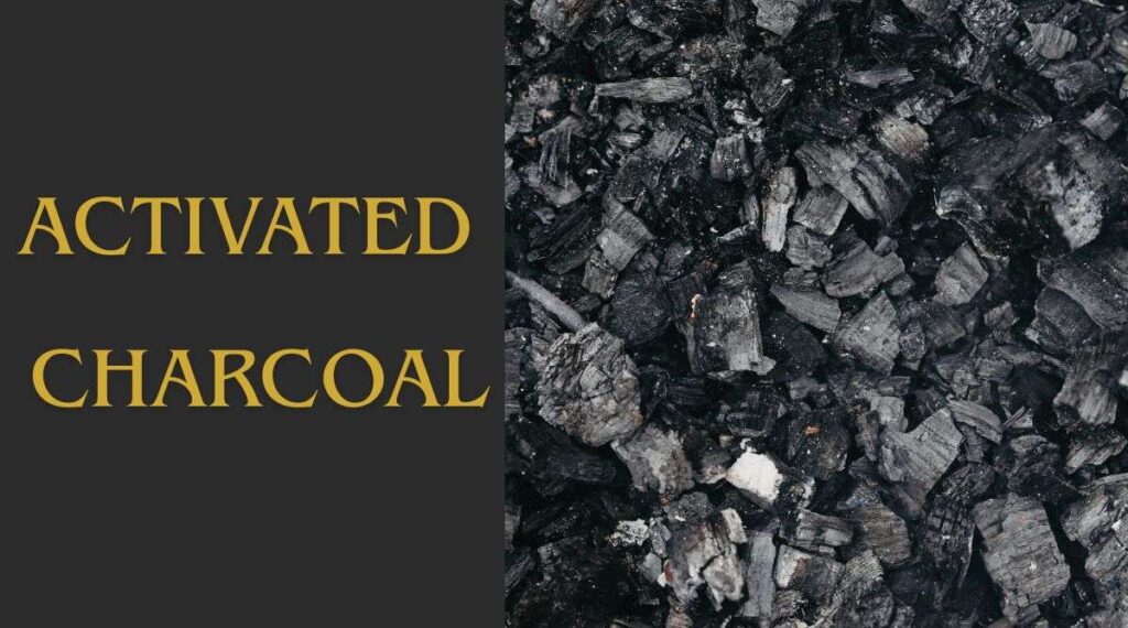 Activated Charcoal Explained How This Natural Detox Powerhouse Supports Health