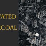 Activated Charcoal Explained How This Natural Detox Powerhouse Supports Health